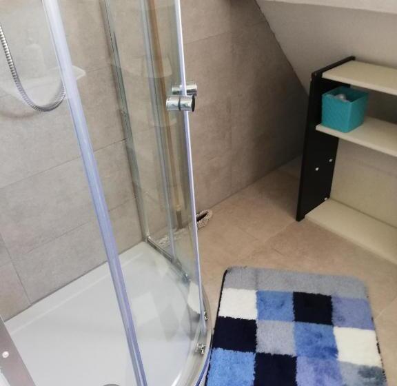 اتاق استاندارد با سرویس بهداشتی مشترک, Residentie Blijdorp