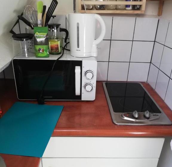 اتاق استاندارد با سرویس بهداشتی مشترک, Residentie Blijdorp