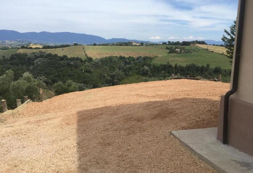 شقة غرفتين, Corte Buenavista