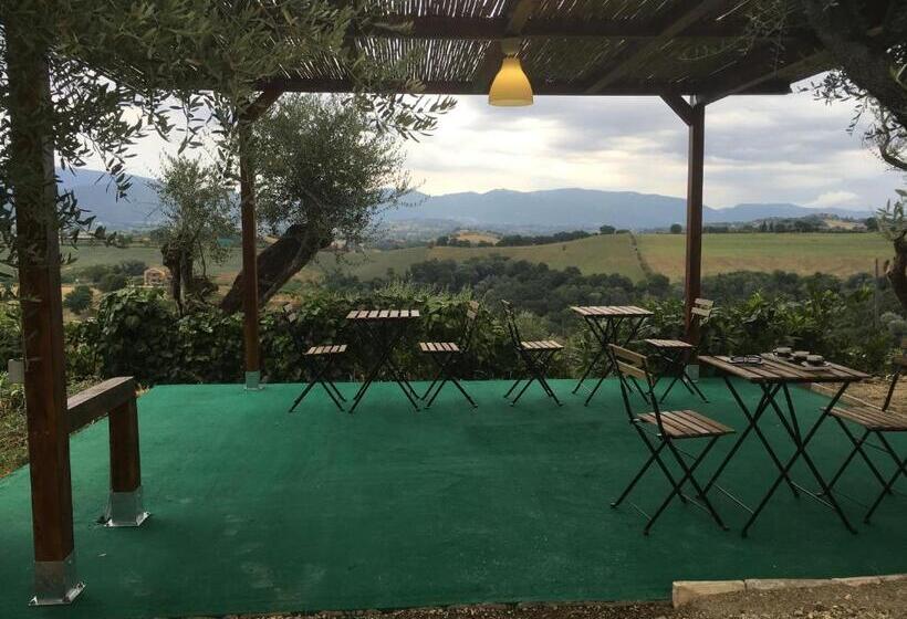 شقة غرفة واحدة, Corte Buenavista