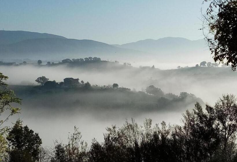 شقة غرفة واحدة, Corte Buenavista