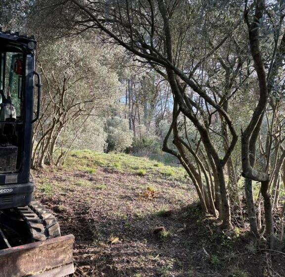 كوخ قياسي, Locations Insolites Vie En Plein Air Cabane Et Tipi Bastide Bellugue Maison D Hôtes Reseau Bienvenue