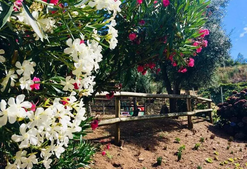 スタンダードバンガロー, Casa Do Ouriço