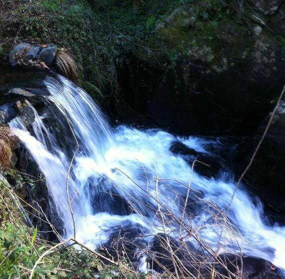 标准平房, Casa Do Ouriço
