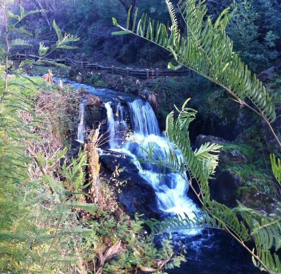 标准平房, Casa Do Ouriço
