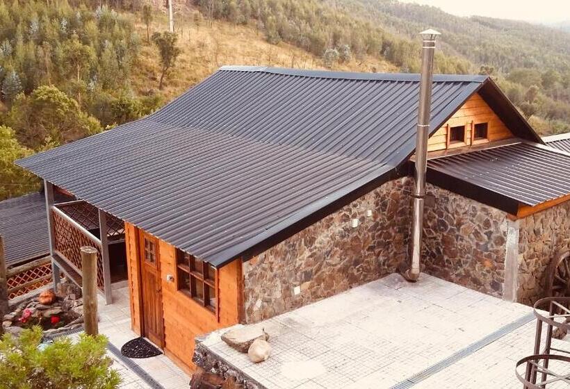 标准平房, Casa Do Ouriço