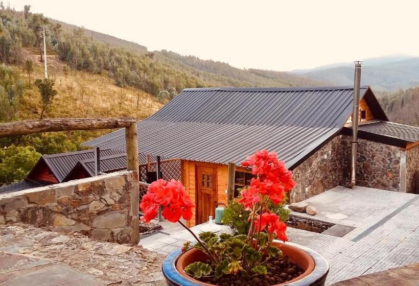 标准平房, Casa Do Ouriço