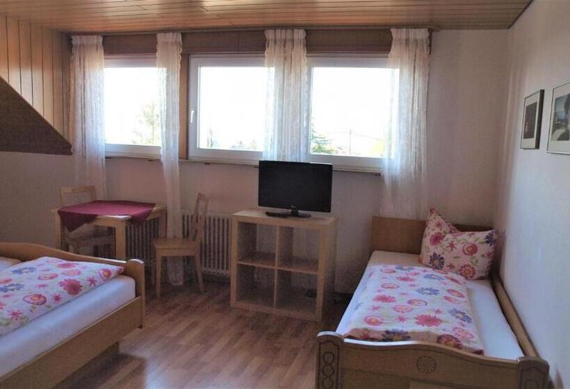 Номер Стандарт Трехместный, Pension Seliger