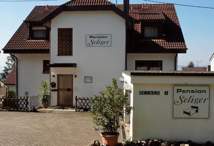 Номер Стандарт с Террасой, Pension Seliger