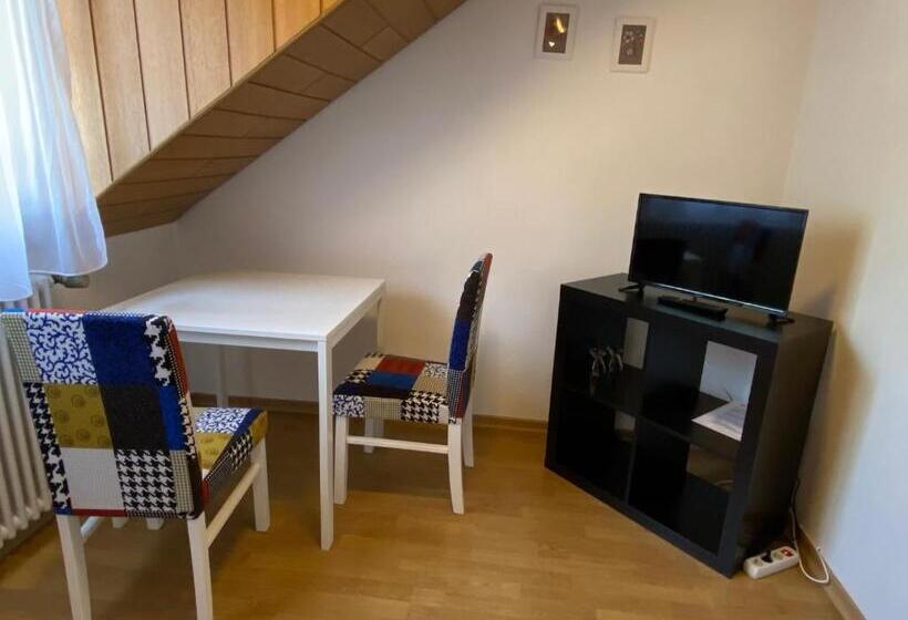 Номер Стандарт Индивидуальный, Pension Seliger