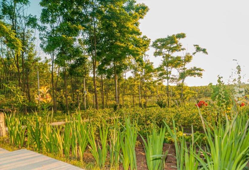 חדר סטנדרט עם מרפסת, Pensiunea Agroturistica Valentino
