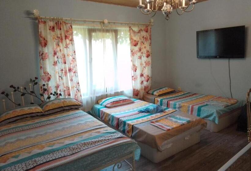 디럭스 룸, Guest House Amazonia