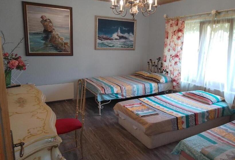 디럭스 룸, Guest House Amazonia