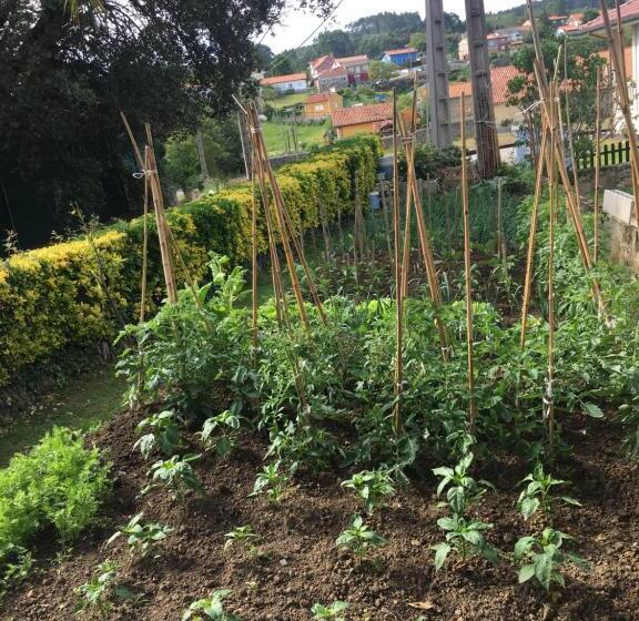 חדר סטנדרט, Hospedaje Casa Amalia