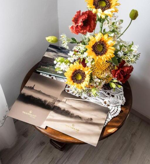 스탠다드 룸, La Vigna Fiorita B&b