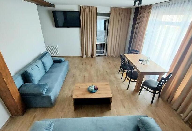 １ベッドルームのスーペリアアパートメント, Apartmány Podlavice