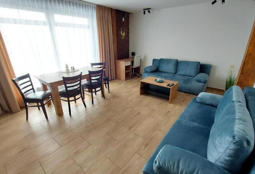 带1个卧室的高级公寓, Apartmány Podlavice
