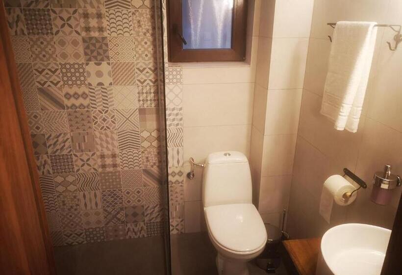 חדר סטנדרט עם מיטת קינג, Pensiunea Cheile Albacului