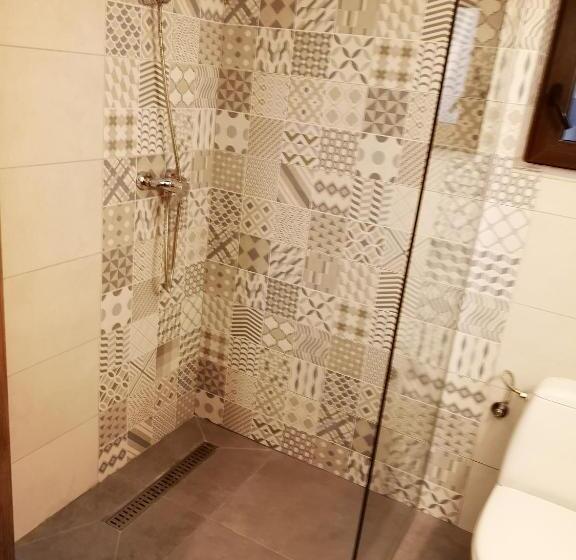 חדר סטנדרט עם מיטת קינג, Pensiunea Cheile Albacului