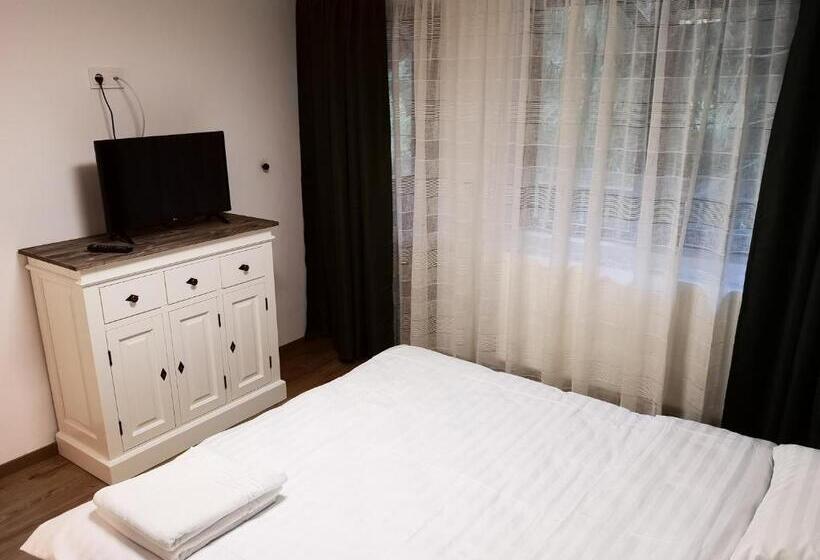 חדר סטנדרט עם מיטת קינג, Pensiunea Cheile Albacului