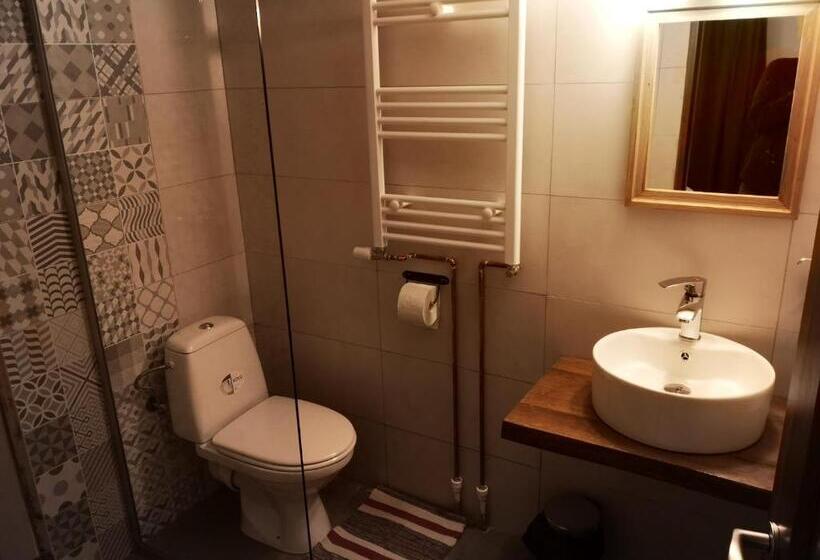 חדר סטנדרט עם מיטת קינג, Pensiunea Cheile Albacului