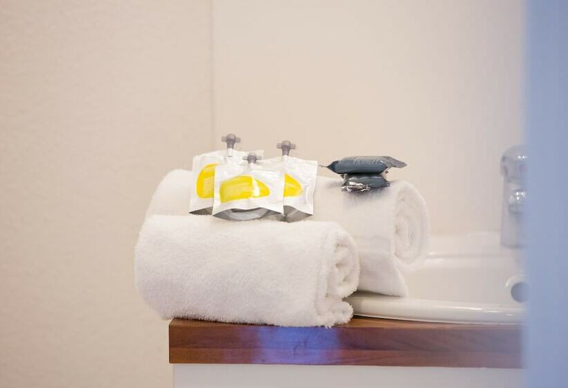 استودیوی استاندارد با تخت دوبل, All Suites Appart Hôtel Bordeaux Mérignac   Aéroport