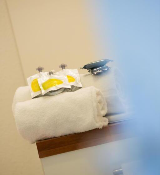 استودیوی استاندارد با تخت دوبل, All Suites Appart Hôtel Bordeaux Mérignac   Aéroport