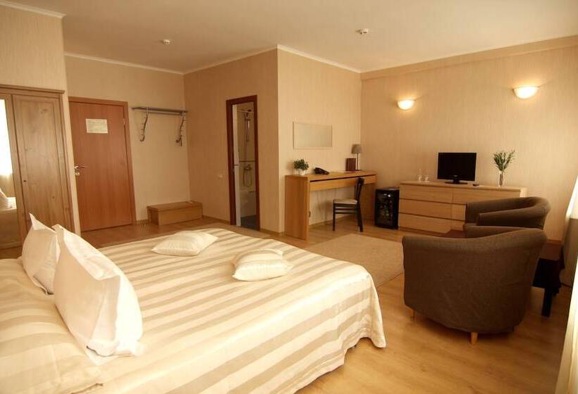 اتاق راحتی یک تخته, Business Hotel Avrora