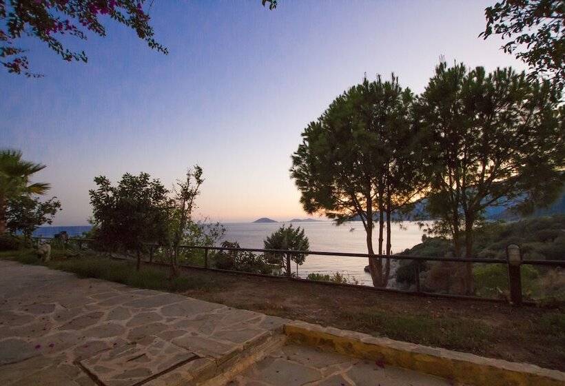 اتاق استاندارد, Kulube