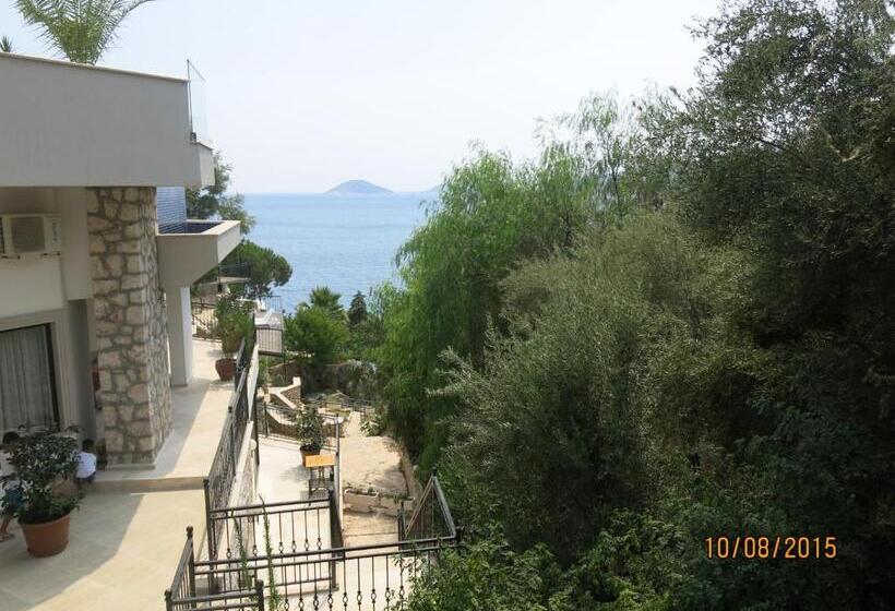 سوییت لوکس, Kulube