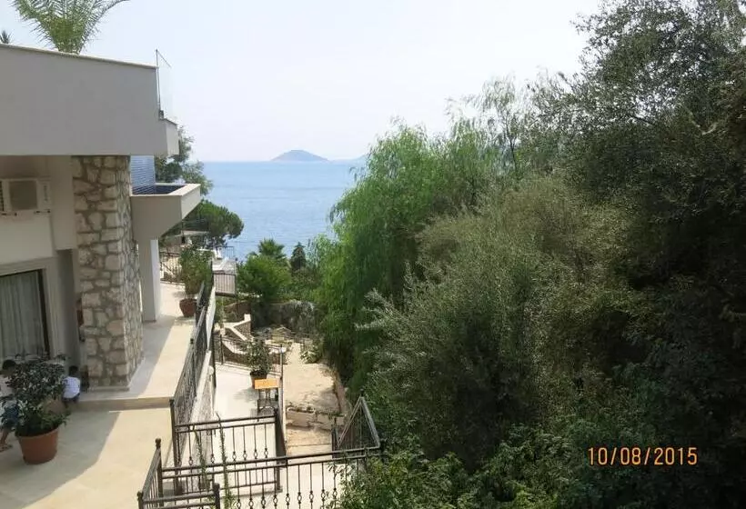 سوییت لوکس, Kulube