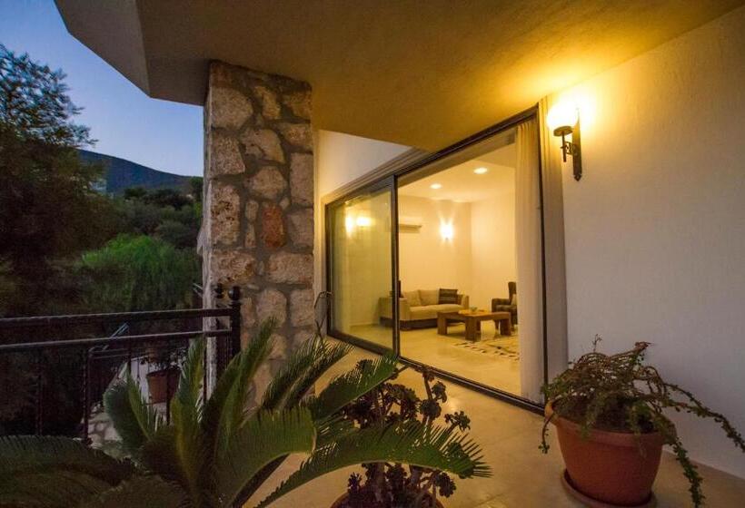 سوییت سوپریور, Kulube