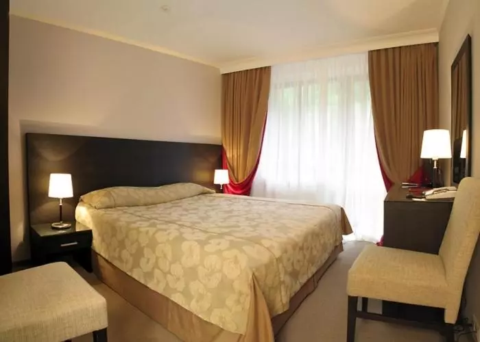 Standard-huone, Vitapark Carpaty