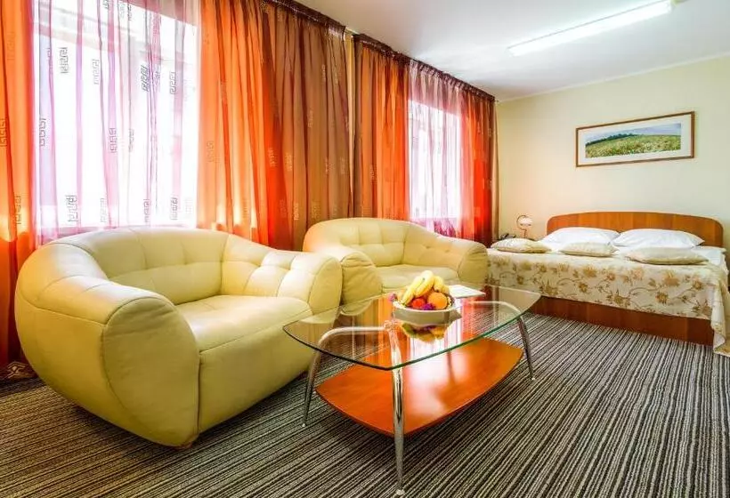 اتاق سوپریور, Raziotel Kryvyi Rih