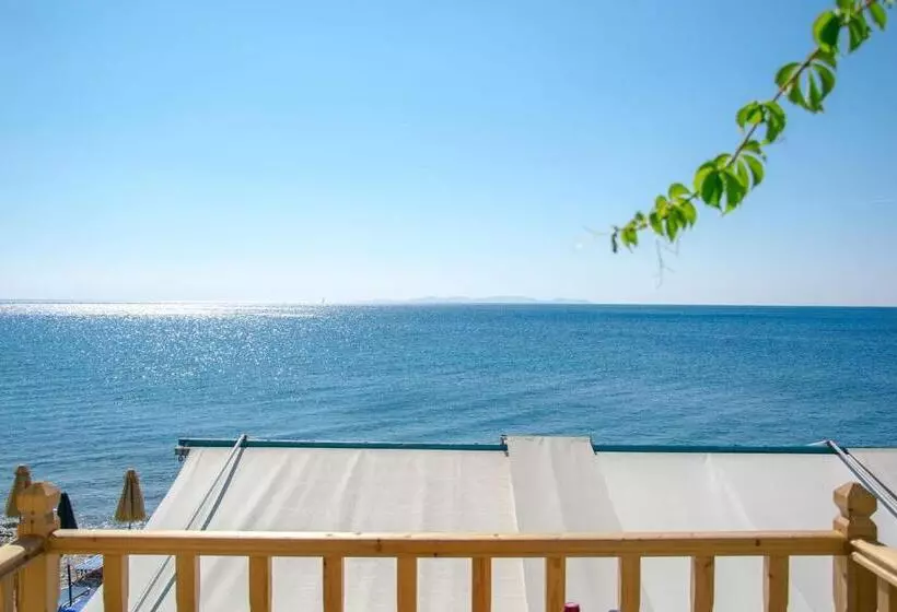 Studio Standard avec Balcon, Tarsanas