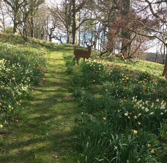 سوئیت 2 خوابه, Gallows Hill