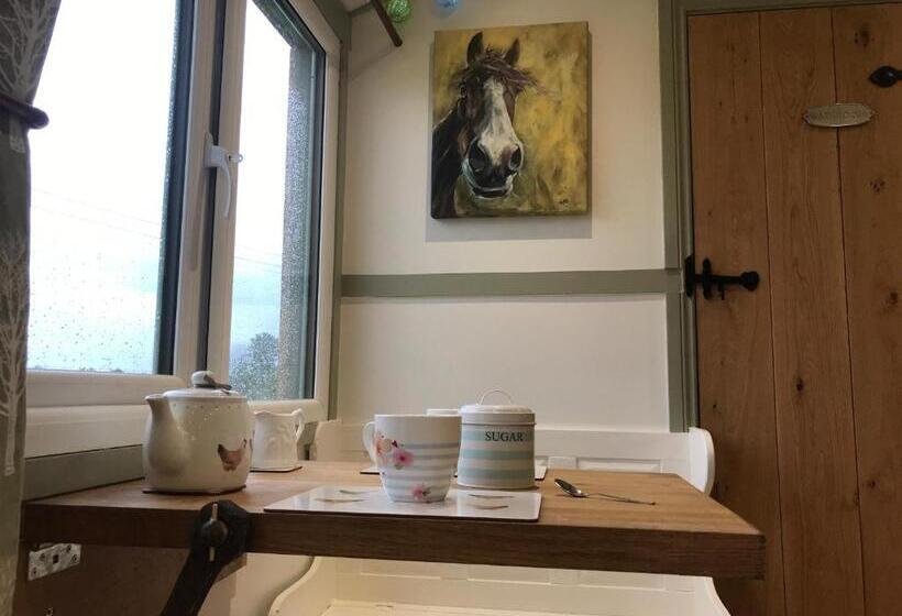 Standard Tent, Willowbank Shepherds Hut