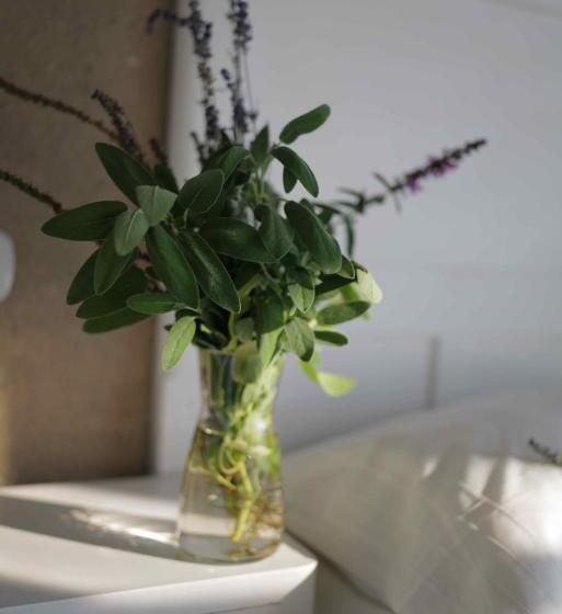 Трехместный Номер Стандарт с Балконом, B&b Cascina La Cinciallegra