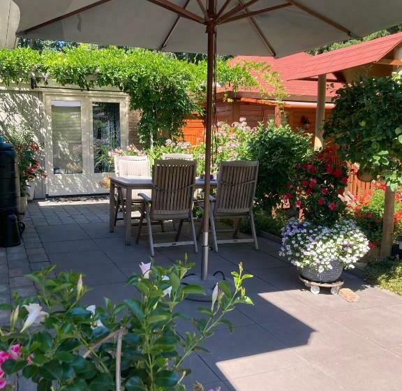 Номер Стандарт, B&b Porcini