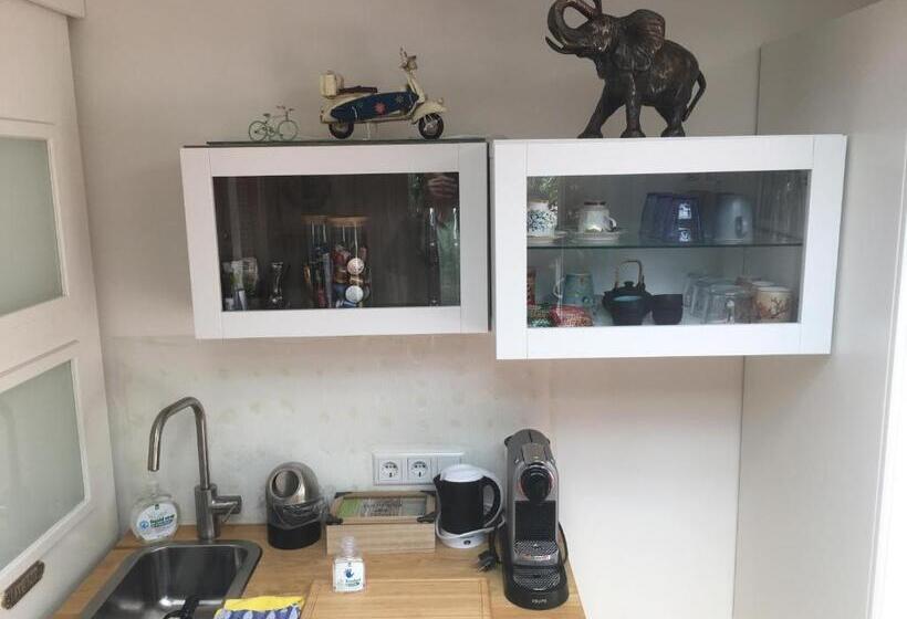 Номер Стандарт, B&b Porcini