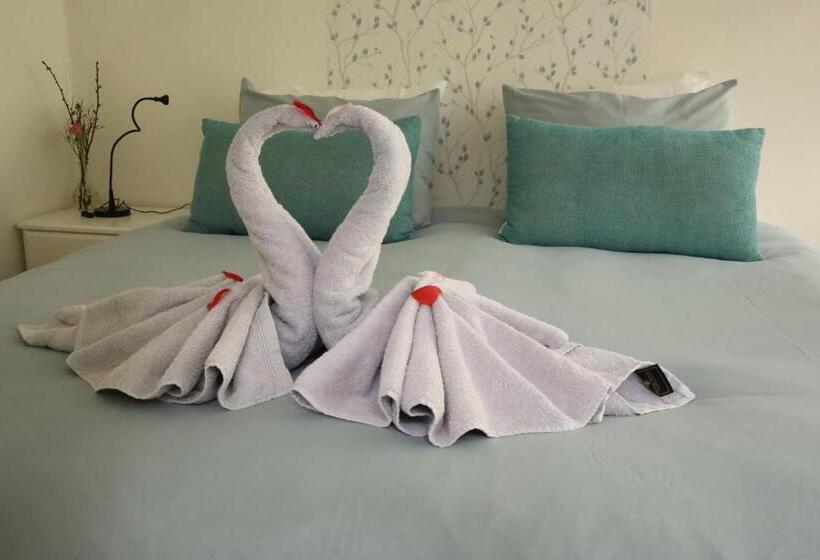 Номер Стандарт, B&b Porcini