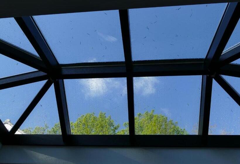 Номер Стандарт, B&b Porcini