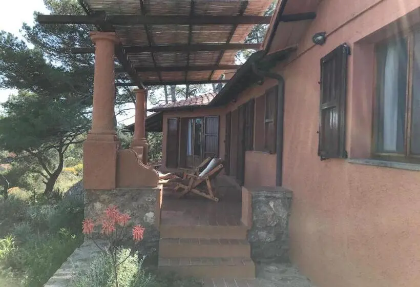 スタンダードルーム, Casa Diana
