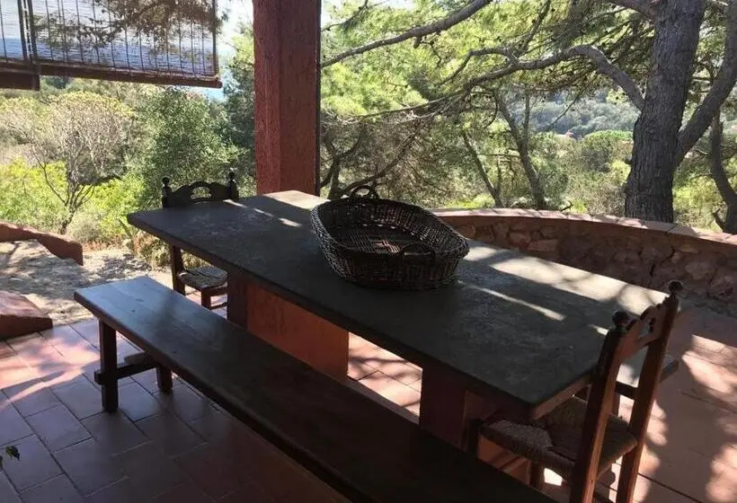 スタンダードルーム, Casa Diana