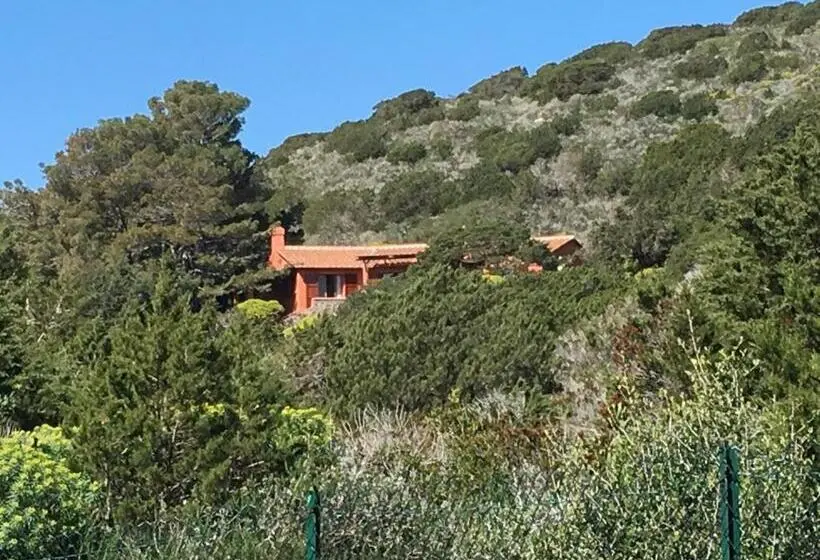 スタンダードルーム, Casa Diana