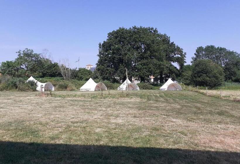Standard Tent, Domaine De La Sauzaie
