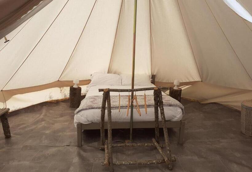 Standard Tent, Domaine De La Sauzaie