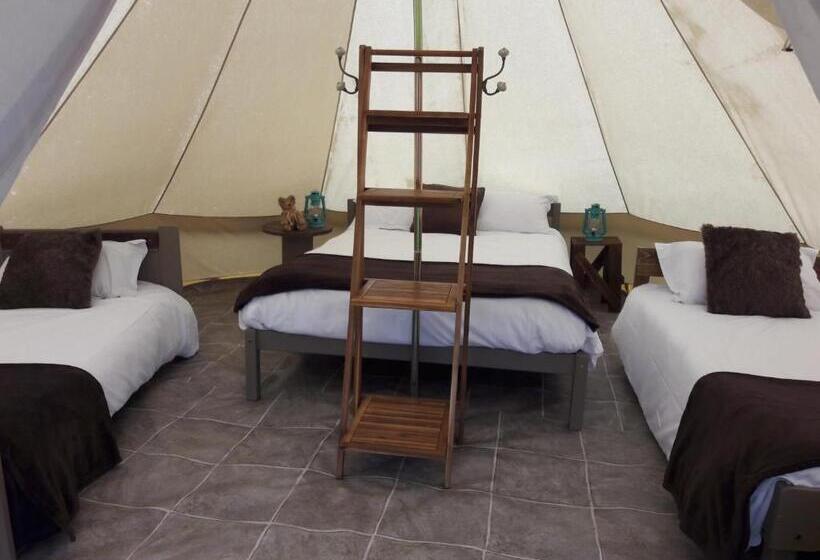 Standard Tent, Domaine De La Sauzaie