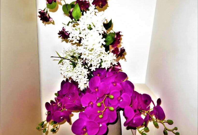 豪华房间, Residenza Montegrappa