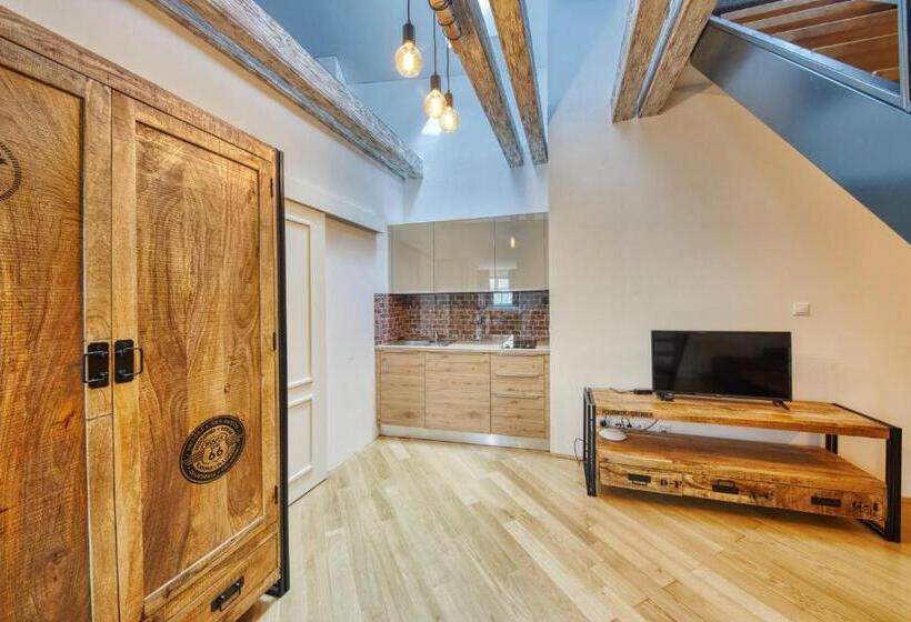 اتاق دوبلکس, Aapartamentoos